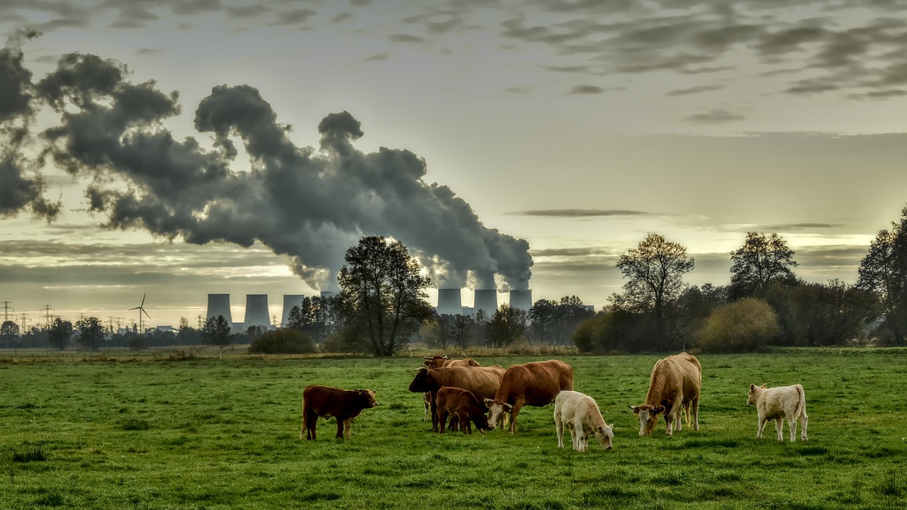 Climate Change and the Escalation of Tick-borne Diseases
